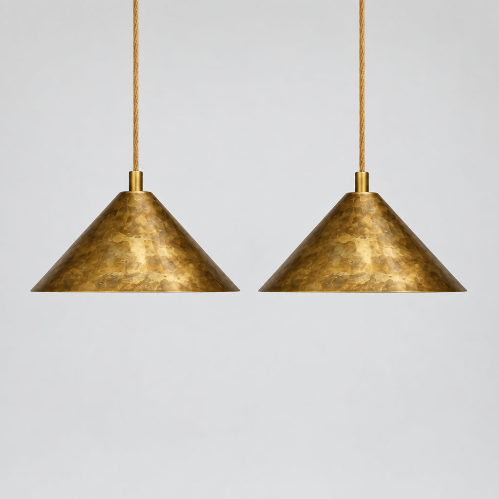 two pendant lights hanging from the ceiling, casting a warm glow in the room. The pendant lights are positioned above a plant, creating a cozy and inviting atmosphere.